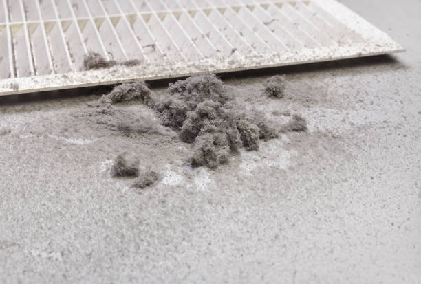 Best Air Vent Cleaning Services  in Wrightsville Beach, NC